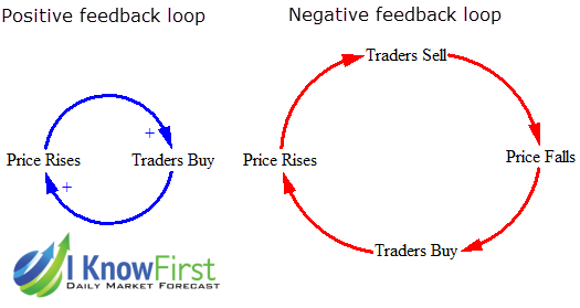 Example of Positive and Negative Feedback Loops